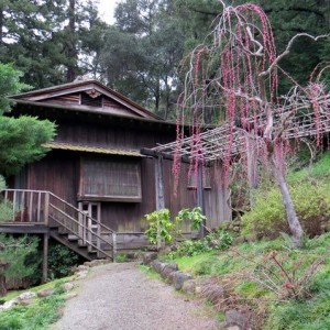 Kezurou-kai USA 2016 Los Gatos